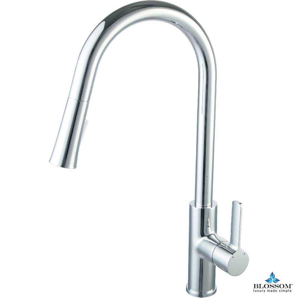 Blossom Single Handle Pull Down Kitchen Faucet - Chrome