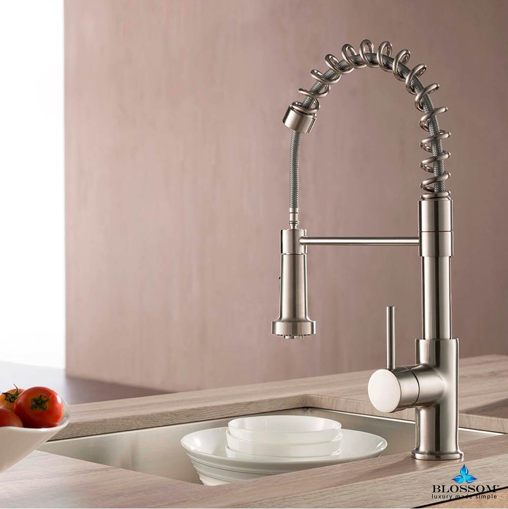 Blossom Single Handle Pull Down Kitchen Faucet - Brush Nickel