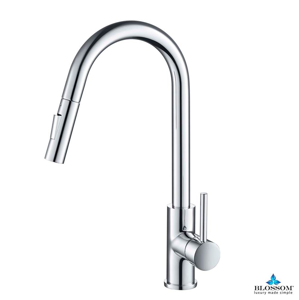 Blossom Single Handle Pull Down Kitchen Faucet - Chrome