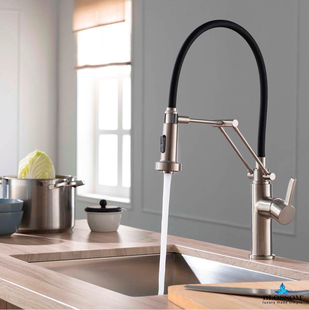 Blossom Single Handle Pull Out Kitchen Faucet - Brush Nickel